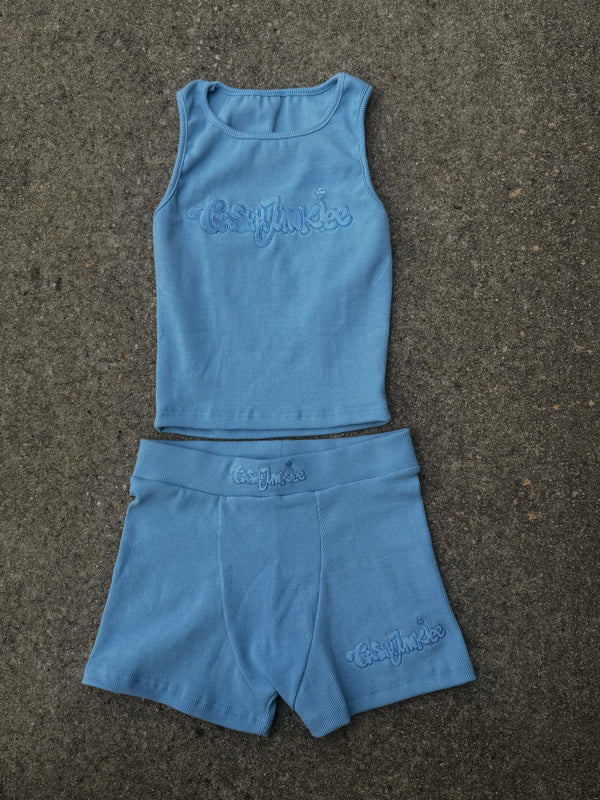 LIGHT BLUE CAREBEAR SET